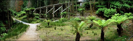 Wilderness Railway - TAS (PB00 1937)