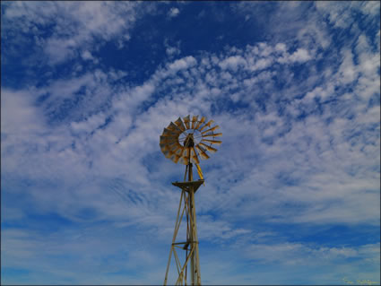 Windmill - Esperance - WA SQ (PBH3 00 0774)