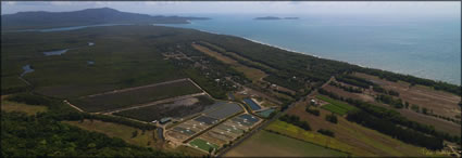 Wonga Beach - QLD (PBH3 00 13222)