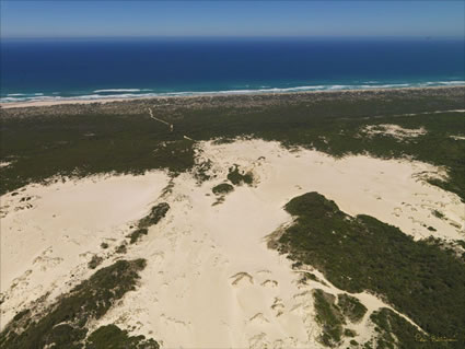 Yaegarup Dunes - WA (PBH3 00 5644)