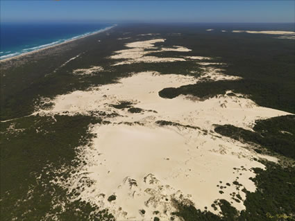 Yeagarup Dunes - WA SQ (PBH3 00 5646)