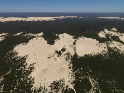 Yeagarup Dunes - WA SQ (PBH3 00 5647)