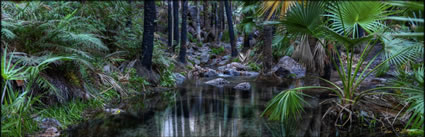 Zebedee Thermal Springs - WA (PBH3 000 12225)