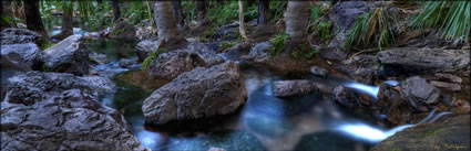 Zebedee Thermal Springs - WA (PBH3 00 12273)