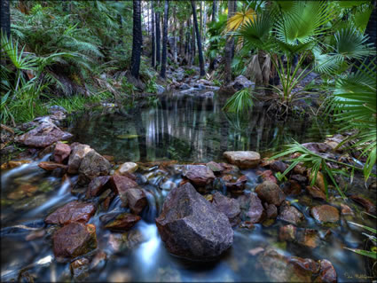 Zebedee Thermal Springs - WA SQ (PBH3 00 12237)