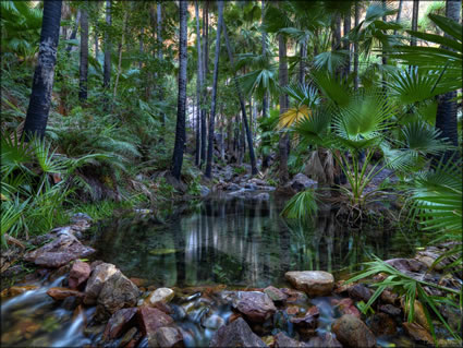 Zebedee Thermal Springs - WA SQ (PBH3 00 12240)