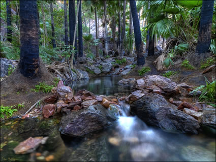 Zebedee Thermal Springs - WA SQ (PBH3 00 12246)