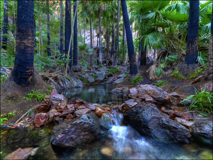 Zebedee Thermal Springs - WA SQ (PBH3 00 12249)