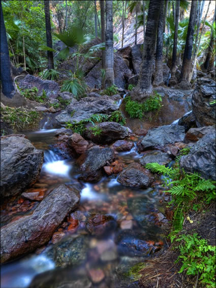 Zebedee Thermal Springs - WA SQ V  (PBH3 00 12256)