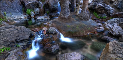 Zebedee Thermal Springs - WA T (PBH3 00 12258)