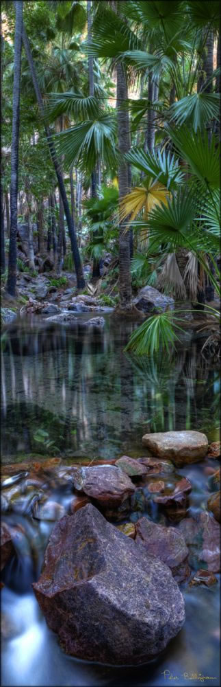 Zebedee Thermal Springs  - WA V (PBH3 00 12243)