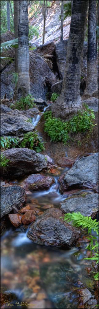 Zebedee Thermal Springs - WA V  (PBH3 00 12252)