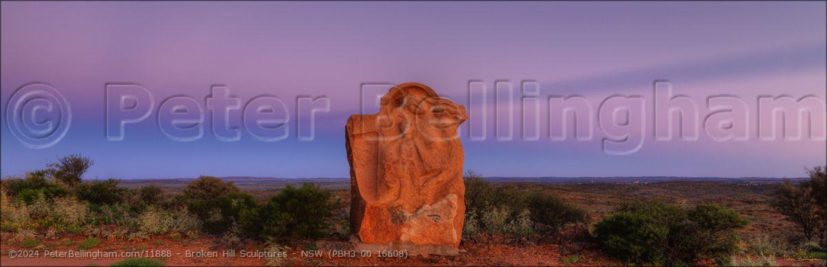 Peter Bellingham Photography Broken Hill Sculptures - NSW (PBH3 00 16608)