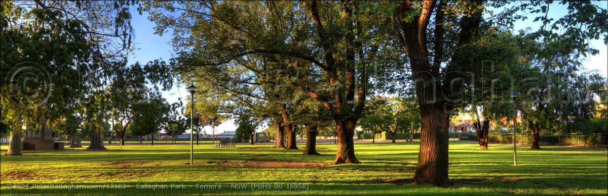 Peter Bellingham Photography Callaghan Park - Temora - NSW (PBH3 00 16958)