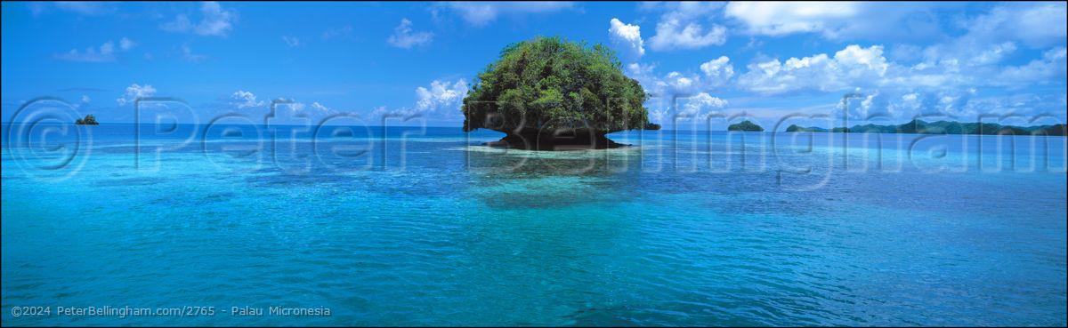 Peter Bellingham Photography Palau Micronesia