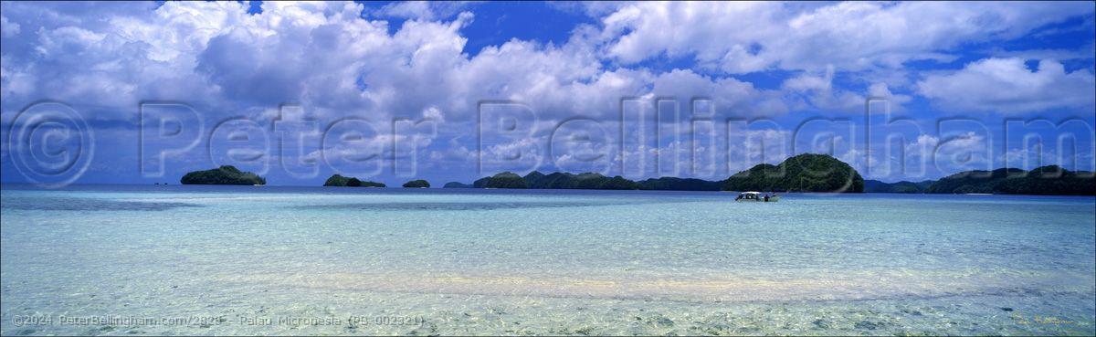 Peter Bellingham Photography Palau Micronesia (PB 002321)