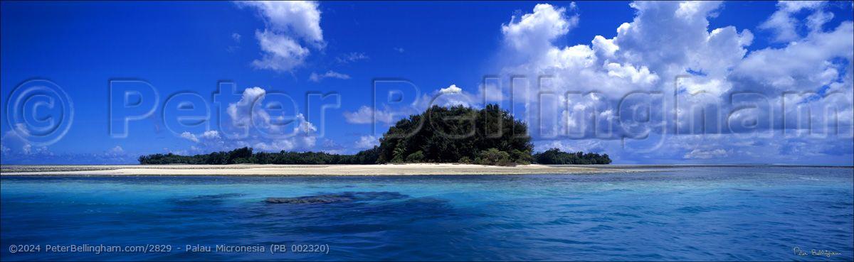Peter Bellingham Photography Palau Micronesia (PB 002320)