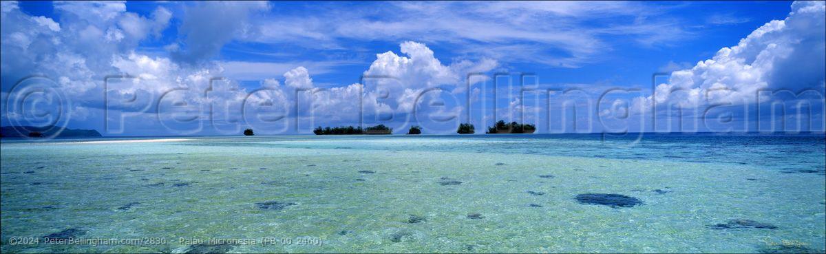 Peter Bellingham Photography Palau Micronesia (PB 00 2460)