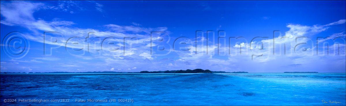 Peter Bellingham Photography Palau Micronesia (PB 002419)