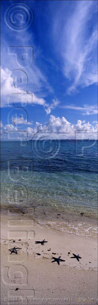 Peter Bellingham Photography Starfish and Clouds - Palau (PB00 2342)