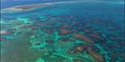 Abrolhos - WA (PBH3 00 4786)