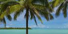 Aitutaki (PBH3 00 1284)