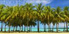 Aitutaki (PBH3 00 1290)