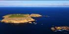 Althorpe Islands - SA (PBH3 00 28575)