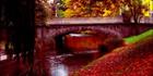 Avon River - Christchurch - NZ (PB 002731)