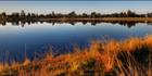 Beach - Port Pirie - SA (PBH3 00 21211)