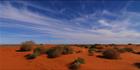 Beltana Station - SA T (PBH3 00 22057)