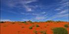 Beltana Station - SA SQ V (PBH3 00 22070)
