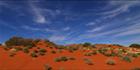 Beltana Station - SA T (PBH3 00 22068)