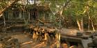 Beng Mealea H (PBH3 00 5996)