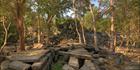 Beng Mealea (PBH3 00 5981)