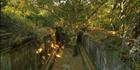 Beng Mealea (PBH3 00 5990)