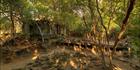 Beng Mealea (PBH3 00 5993)