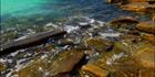 Blue Haven - Esperance - WA (PBH3 00 0963)