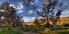Brachina Gorge - SA T (PBH3 00 22113)