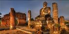 Buddah T (PBH3 00 14157)