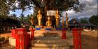 Buddahs SQ (PBH3 00 14239)