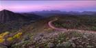 Bunyeroo Valley - SA (PBH3 00 19719)