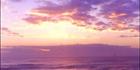 Burnett Heads Sunrise Vertical - QLD (PB00 4562)