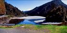 Butler Gorge - NZ (PB 002839)