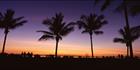 Cable Beach Sunset - Broome - WA (PB00 4454)