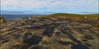 Cape Arid - WA SQ (PBH3 00 0893)
