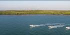 Cape Don Boats - NT (PBH3 00  12524)