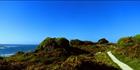 Cape Foulwind Lighthouse - NZ (PB00 2726)