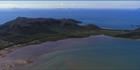 Cape Hillsborough NP - (PB00 6545)