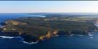 Cape Nelson - VIC (PBH3 00 28184)